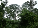 20546P1020403.JPG