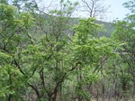 526827042008(50).JPG