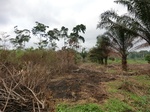 46207CIMG0496.JPG