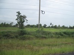33316IMG_5652.JPG