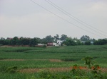 34746CIMG2574.JPG