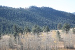 2022-10-31_16-16-17_EF3CA4AD-5298-4910-9AF7-54B486B4F5C2.jpeg