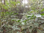 46704DSC02038.JPG