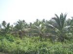 17594100_2531.JPG