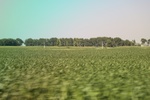 2024-08-05_14-21-44_5C49D786-73BB-4C85-96DF-37B270CFC324.jpeg