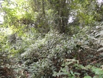 46834DSC02173.JPG