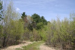 287IMG_4183.JPG