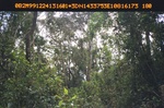 40457ANH1926.JPG