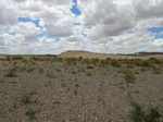 36787CIMG0557.JPG