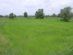 34538RIMG0003.JPG
