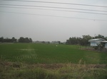 28345IMG_5210.JPG