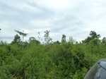 55006Berau (305).JPG