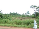 20096P1010947.JPG