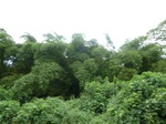 20281P1020137.JPG