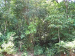 493019042008(19).JPG