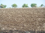 1684102052008(102).JPG