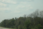 2024-10-10_16-56-09_8454DEE8-28A7-4914-BF91-373A8DCC00AA.jpeg