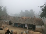 40301CIMG9044.JPG