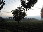 14616IMG_4991.JPG