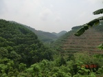 53659CIMG7033.JPG