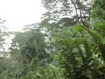 48165CIMG4502.JPG