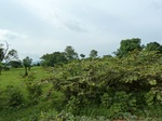 18643P1000481.JPG