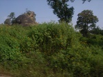 8985RIMG0060.JPG