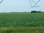 2012-08-30_11-29-31_CIMG0843.JPG