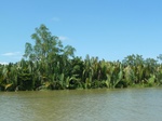 54697Bulungan (192).JPG