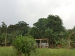 49889CIMG6226.JPG