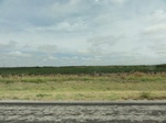 35914DSC02682.JPG