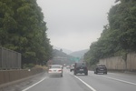 2024-08-05_13-37-56_7282A976-01A7-454B-805E-388C8854680D.jpeg