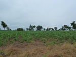 18561P1000397.JPG