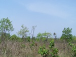 17425100_2111.JPG