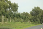 2024-08-05_14-55-47_033EADA6-5C4A-4BC1-BF7A-86765C4C87B4.jpeg