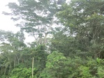 49877CIMG6214.JPG