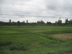 33286IMG_5616.JPG