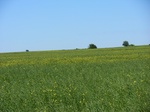 29980CIMG0624.JPG