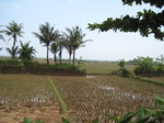 15904IMG_4452.JPG