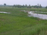 34607RIMG0073.JPG