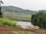 51654CIMG0444.JPG