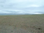 23044P1020511.JPG