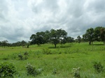 18788P1000626.JPG