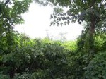 1707R0015318_small.jpg