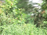 48715CIMG5052.JPG