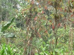48795CIMG5132.JPG
