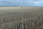 51593AGR_WA_040_L4.jpg