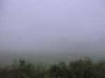 40288CIMG9031.JPG