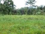 20583P1020440.JPG