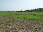 18936P1000780.JPG